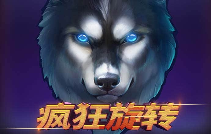 kok中欧体育app下载官网
